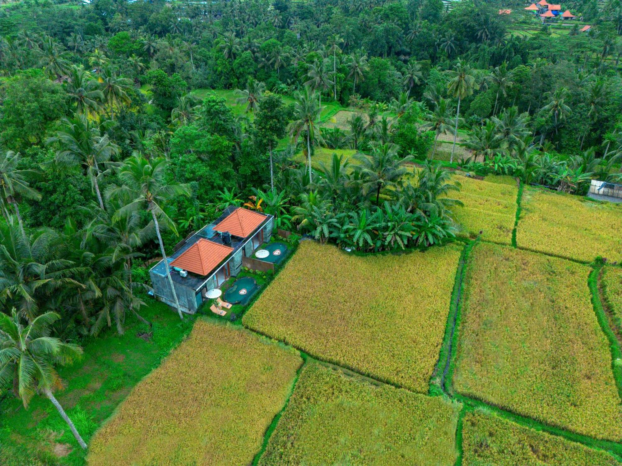 The Alus Cottage And Villa Ubud Exterior foto